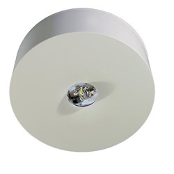 RP-Group ILDL423WB-ANZ Emergency Light Self-Contained with Surface Mounting  3-hour Battery Power IP40 White Polycarbonate Housing