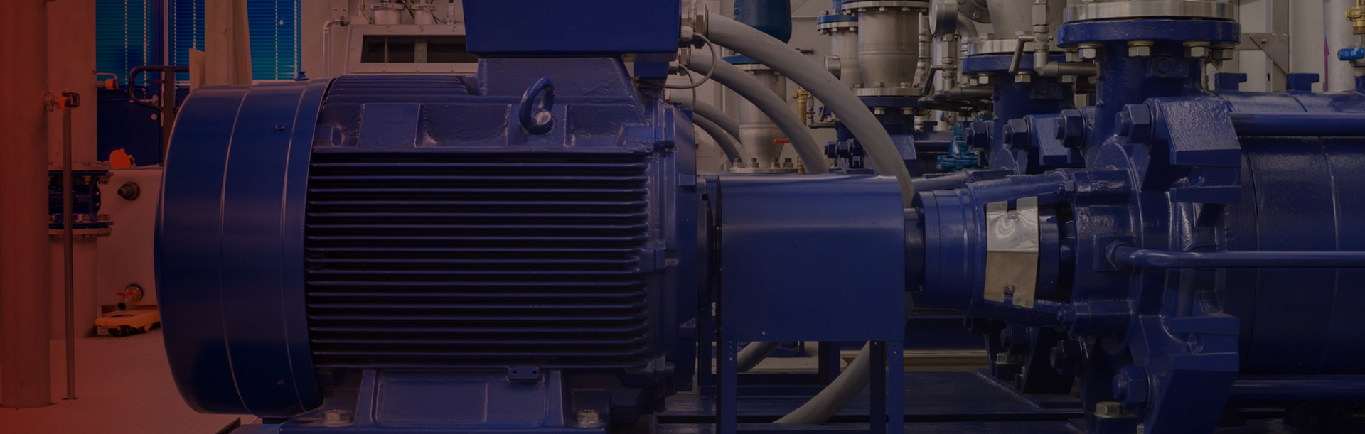 <h2>Motors, Variable Speed Drives &amp; Soft Starters for motor starting applications</h2>
<p>IPD offers a complete range of motor control and protection products to support reliable electric motor operation across industrial and commercial systems. Our solutions are designed to meet the needs of mechanical services, electrical engineers, OEMs and maintenance teams working with pumps, conveyors, fans and machinery.</p>
<p>For product selection support or application advice,&nbsp;<a target="_blank" href="/contact-us" rel="noopener">get in touch with our team.</a></p>